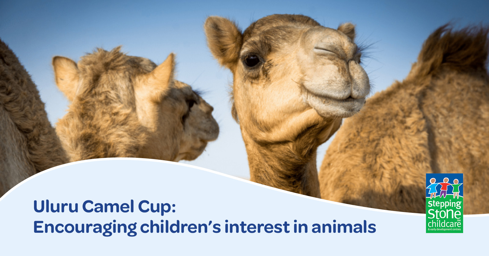 Uluru Camel Cup and children's interest in animals - Stepping Stone (SA)  Childcare and Early Development Centres